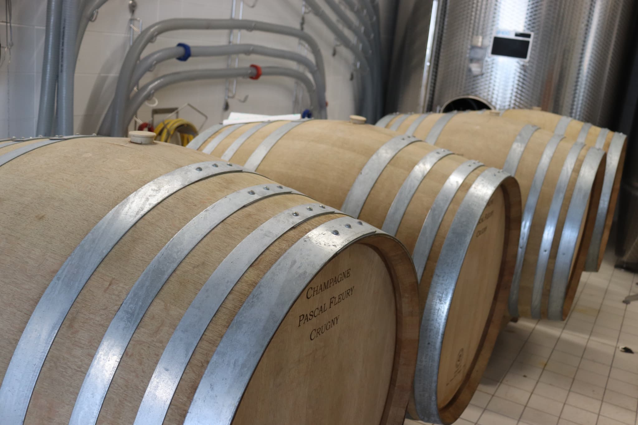 Georges Fleury Cellar